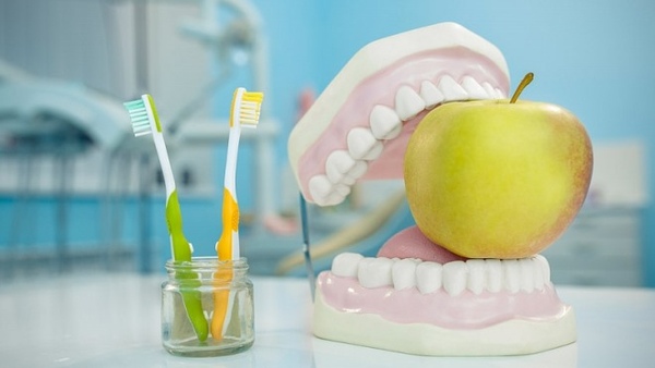 Сколько нельзя есть после удаления зуба: особенности манипуляции и рекомендации врачей